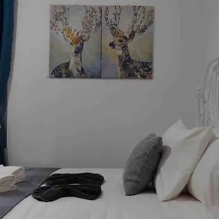 Spacious And Bright Appartamento *